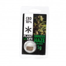 Amnesia Haze solid CBD 10%